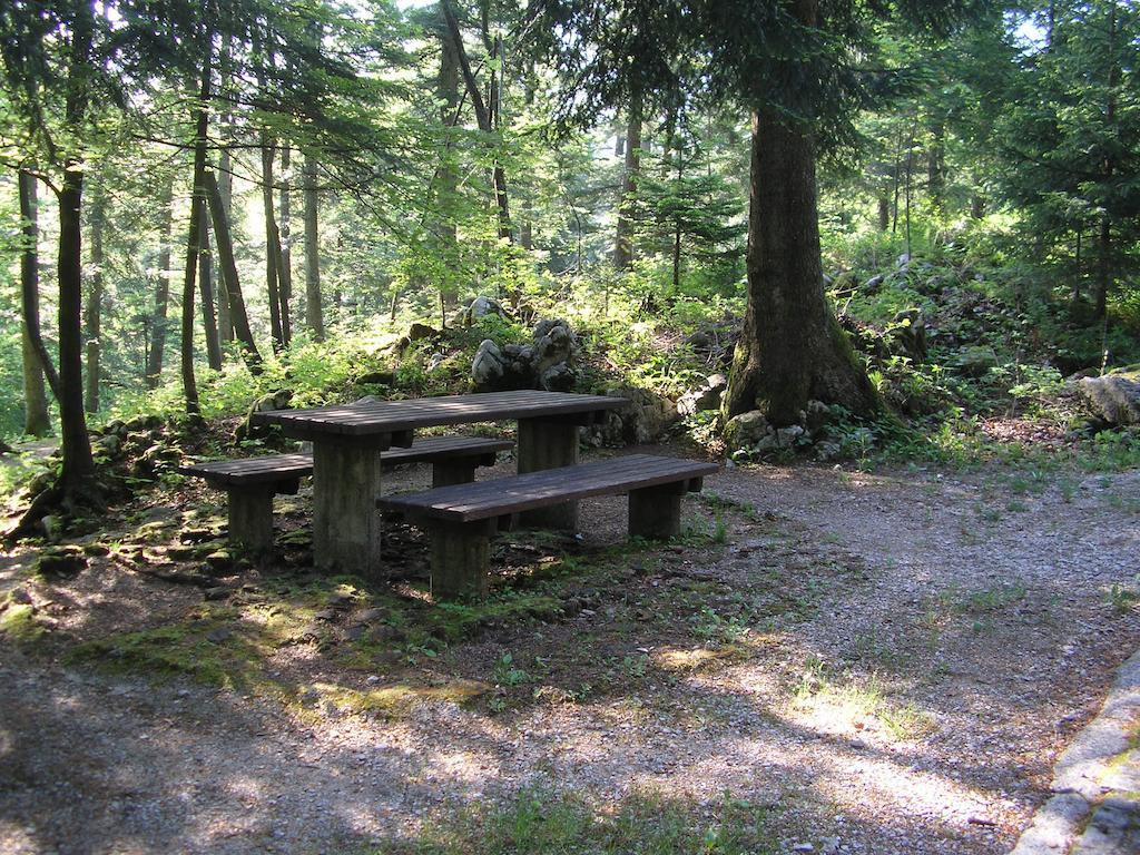 Camping Pivka Jama Postojna Dış mekan fotoğraf